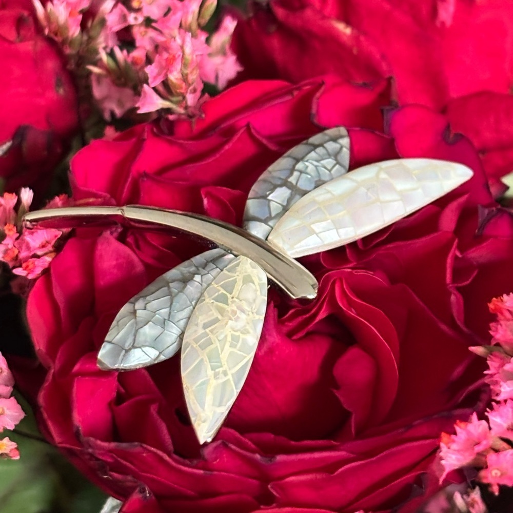 ABALONE MOTHER OF PEARL DRAGONFLY & GOLD   MAPLE LEAF VINTAGE SARAH COVENTRY SET